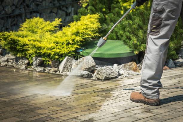 Best Brick and Stone Cleaning in Wallis, TX