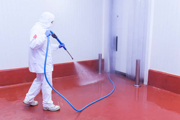 Best Oil and Grease Removal from Surfaces in Wallis, TX