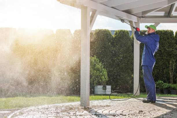 Best Sidewalk and Walkway Pressure Cleaning in Wallis, TX